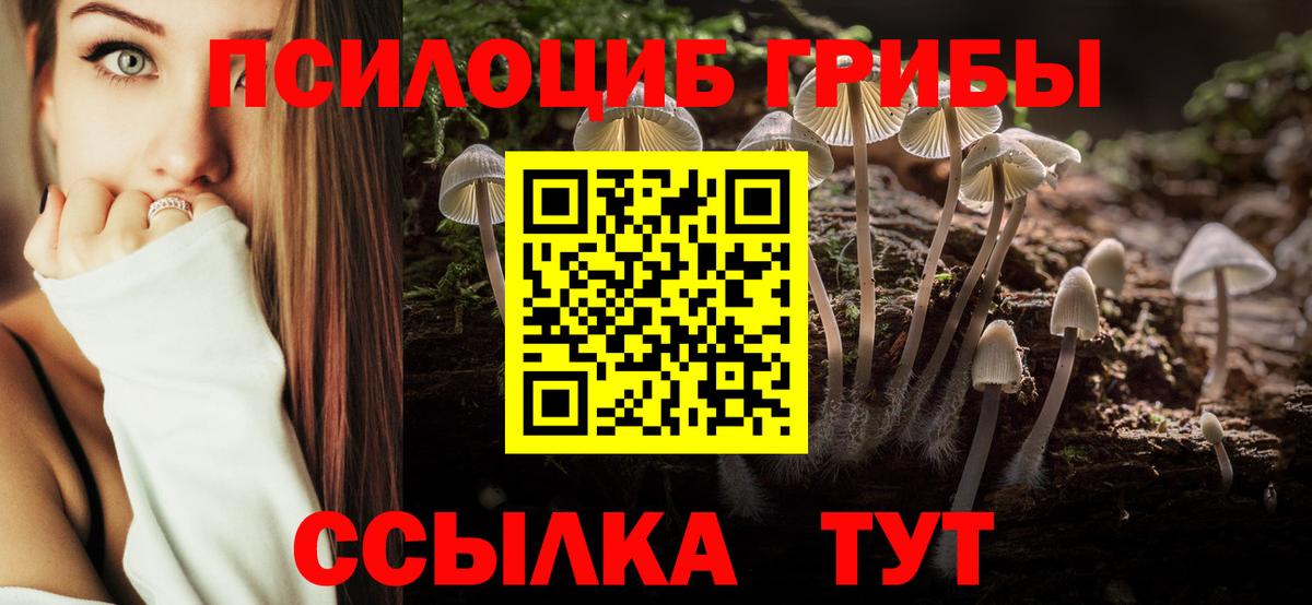 Галлюциногенные грибы Cubensis  Вход с VPN  Нальчик 