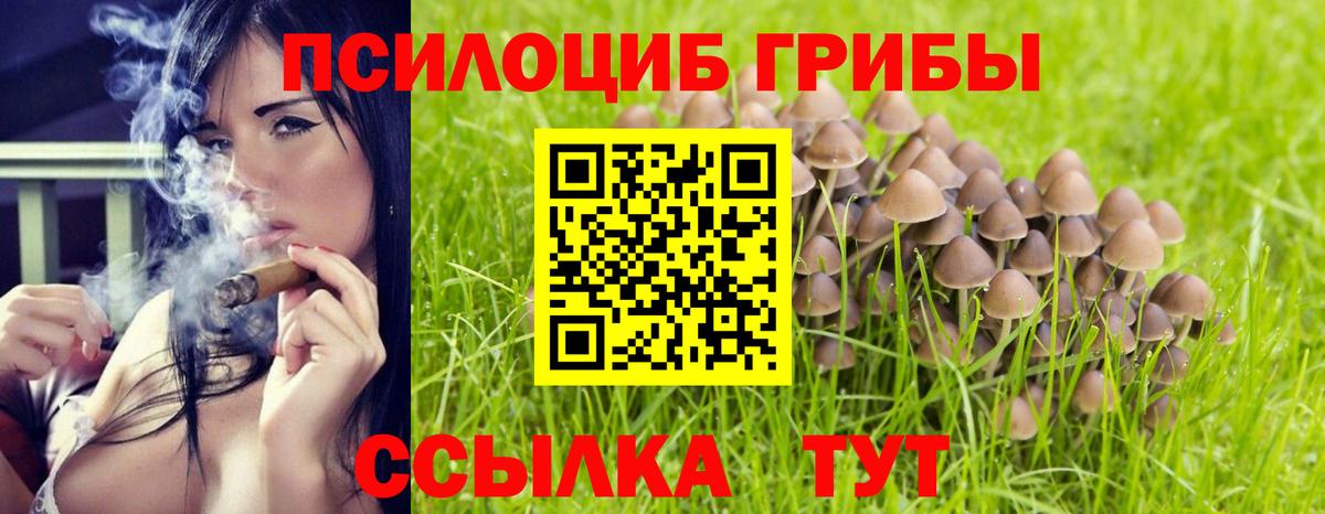 Галлюциногенные грибы Cubensis Нальчик